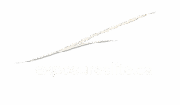 Exposures Lite