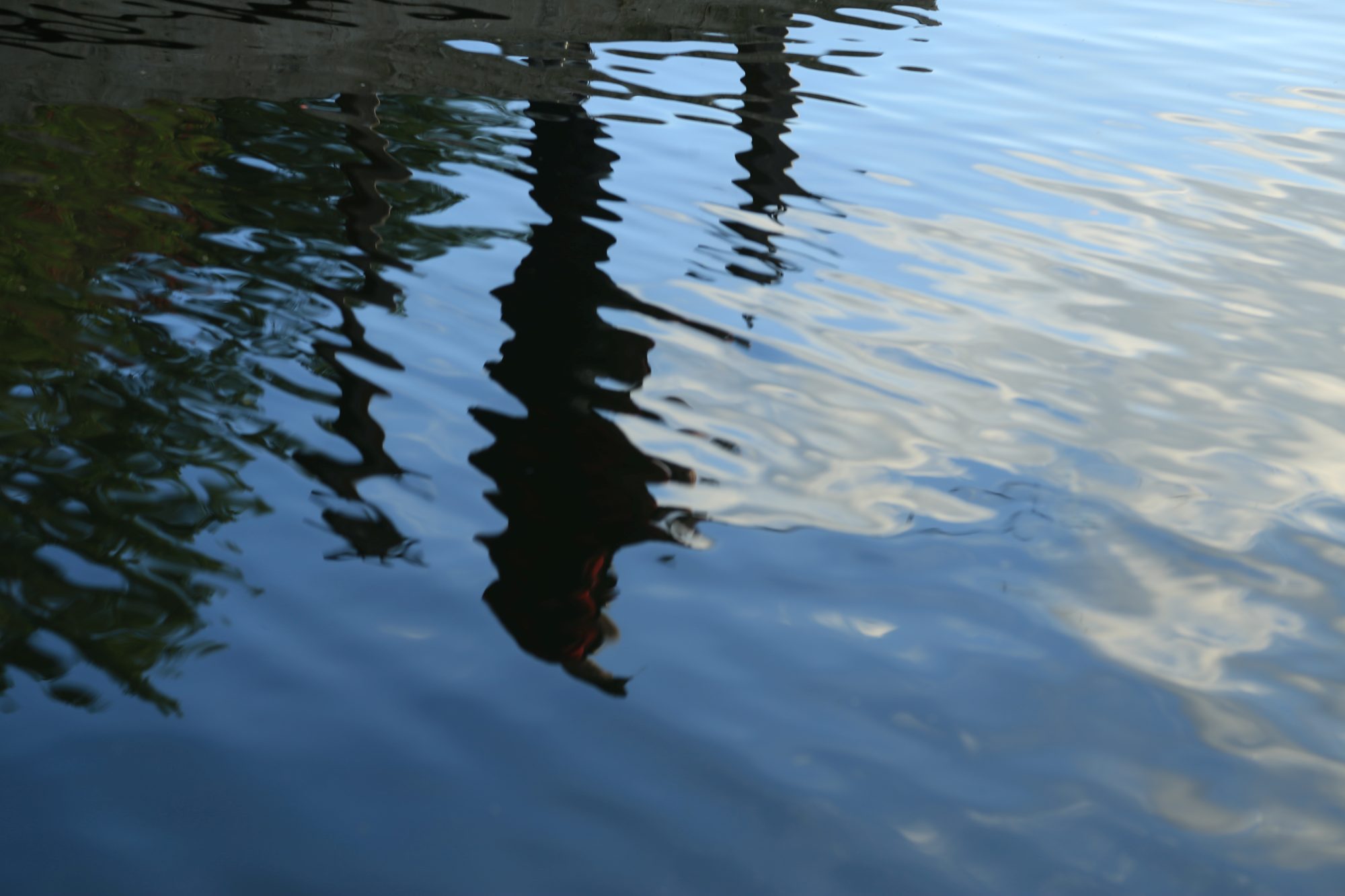 Reflections in the Water. Image straight from camera, no editing
