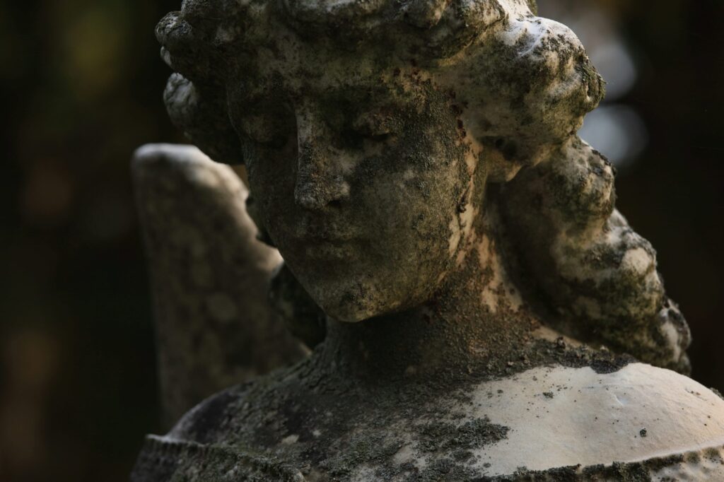 Early Dawn photograph in the cemetery Early Dawn photograph in the cemetery; Image straight from camera, no editing