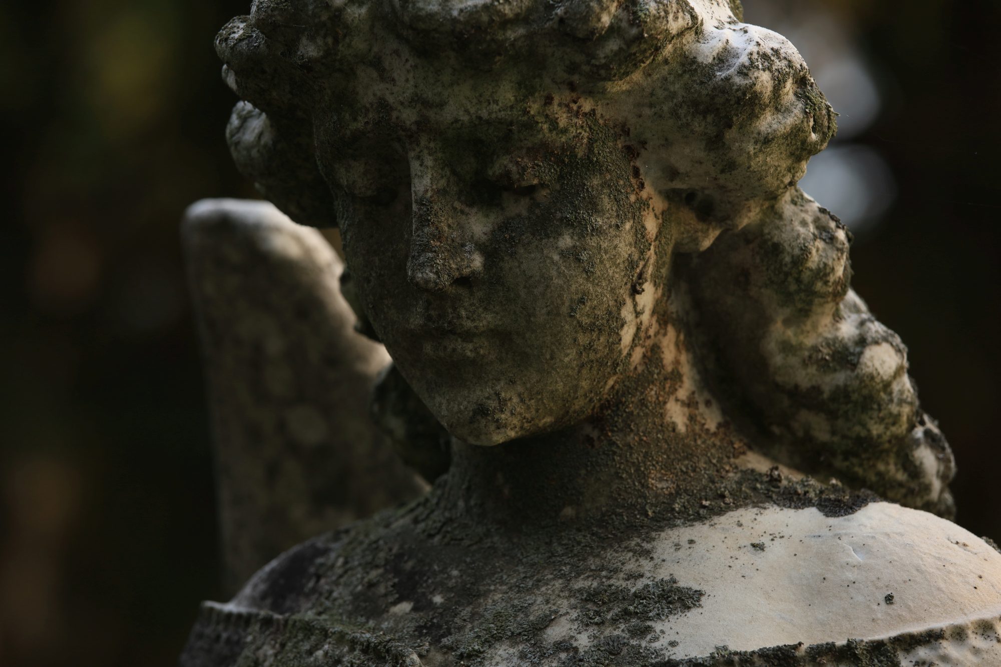 Early Dawn photograph in the cemetery; Image straight from camera, no editing